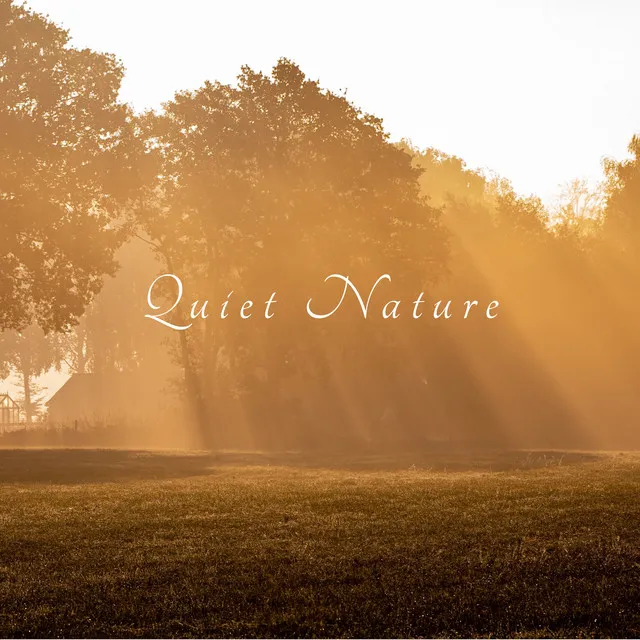 Quiet Nature