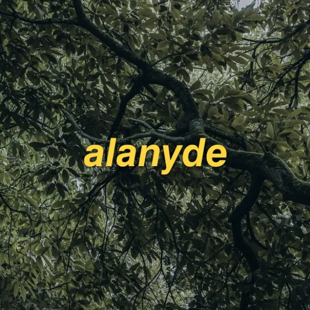 ALANYDE