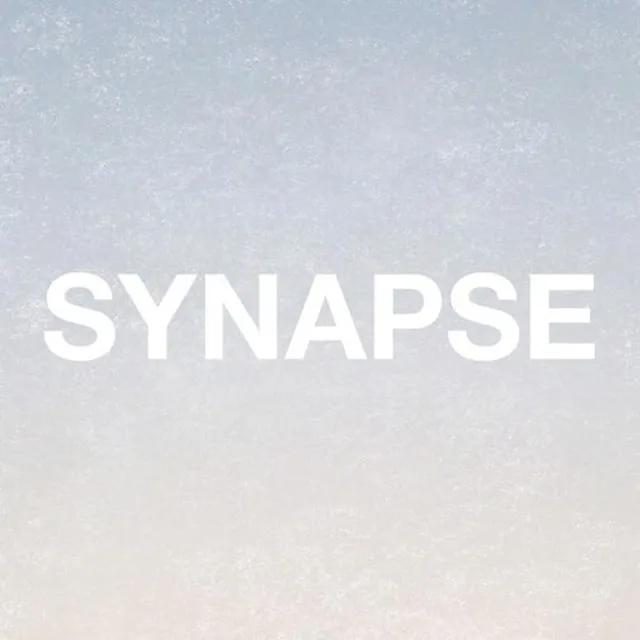 Synapse2300