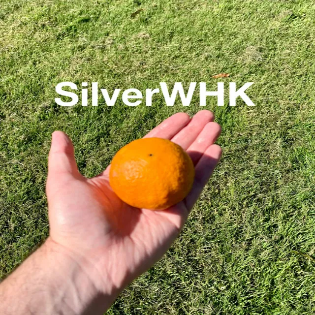 SilverWHK