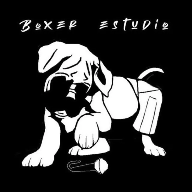 Boxer Estudio