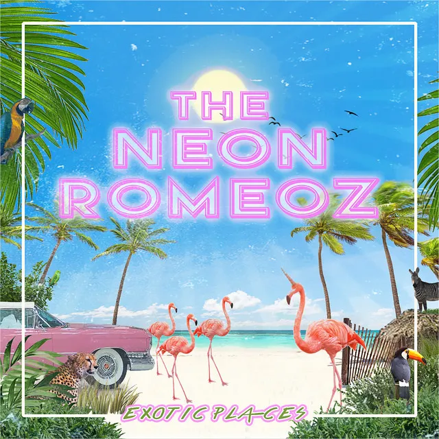 The Neon Romeoz