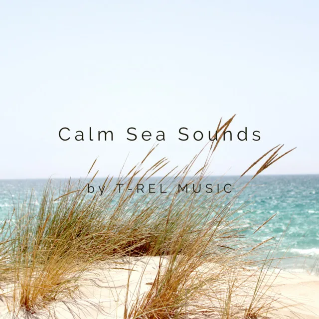 Calm Sea Sounds