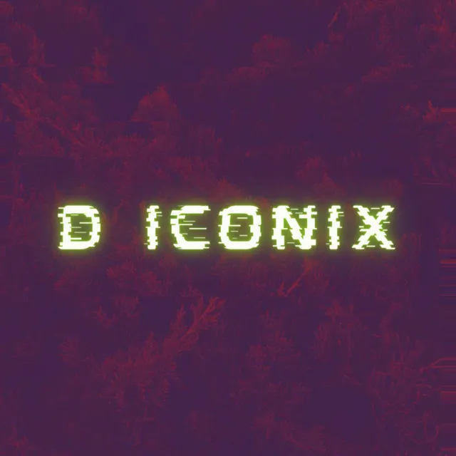 D Iconix