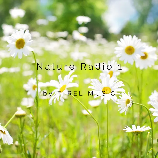 Nature Radio 1