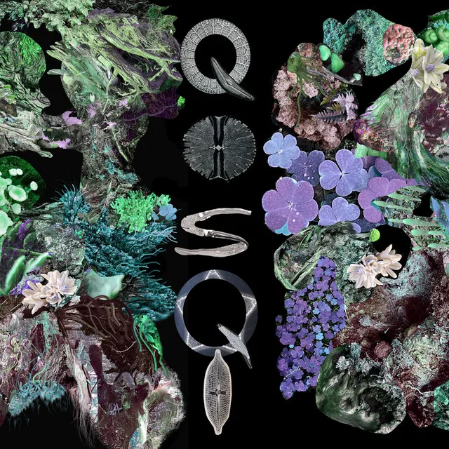 QOSQI