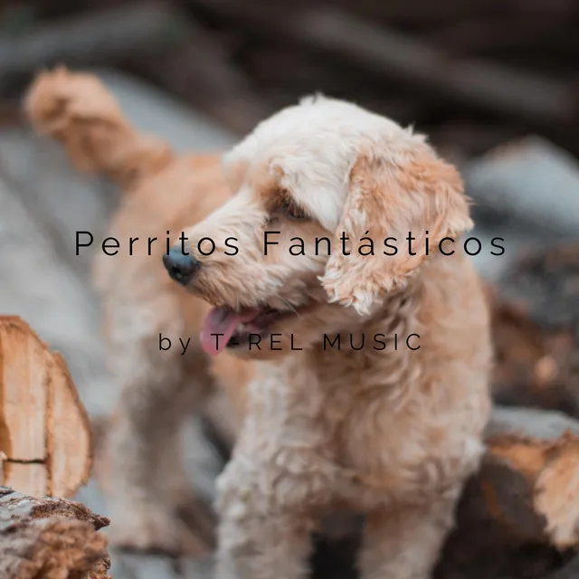 Perritos Fantásticos