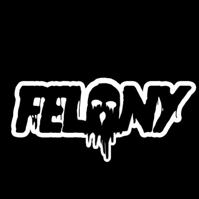 FelonyDubs