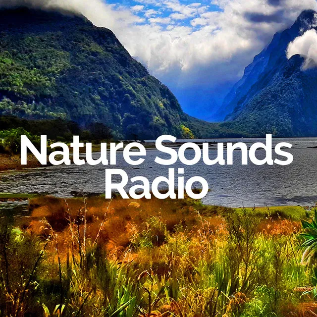 Nature Sounds Radio