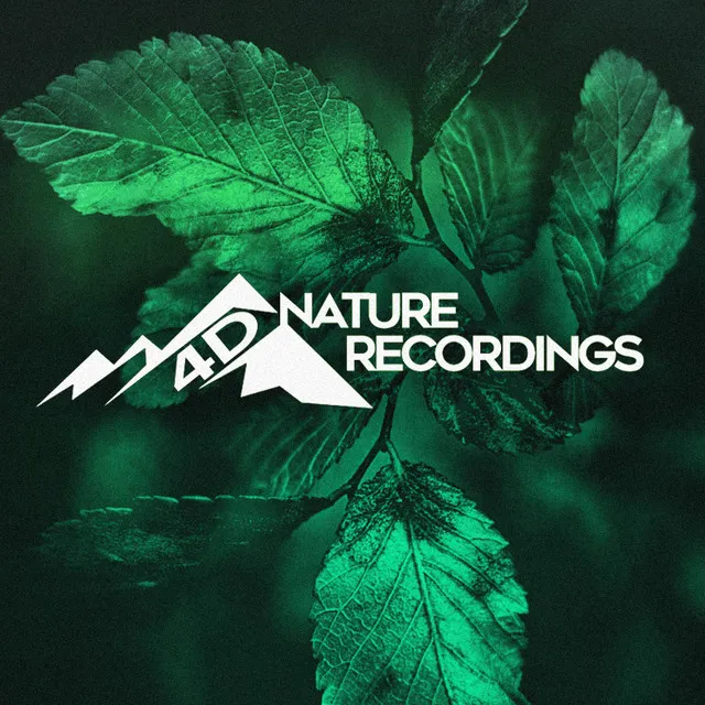 4D Nature Recordings