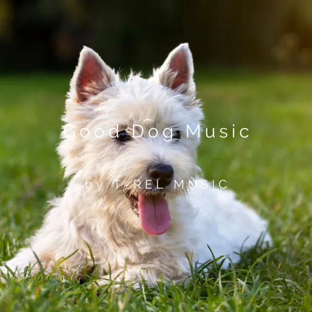 Good Dog Music