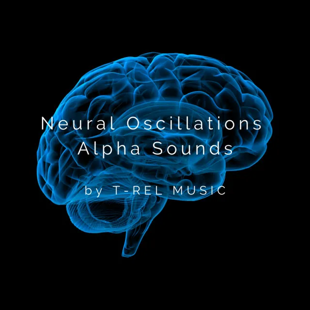 Neural Oscillations Alpha Sounds