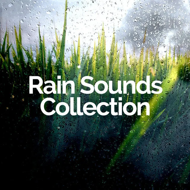 Rain Sounds Collection