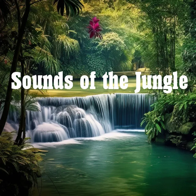 Sounds of the Jungle