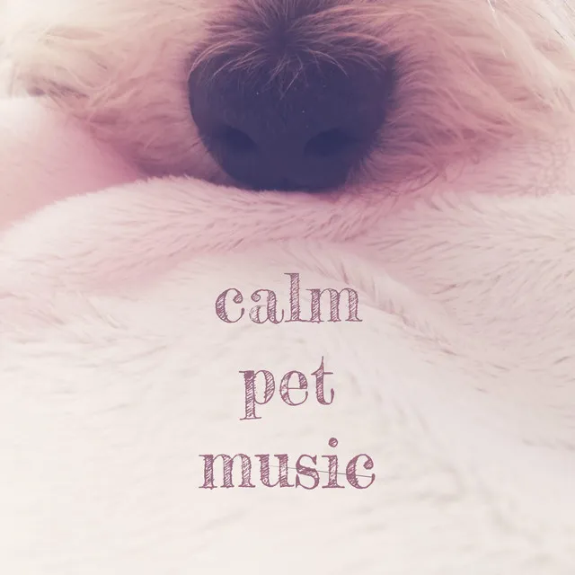 Calm Pet Music