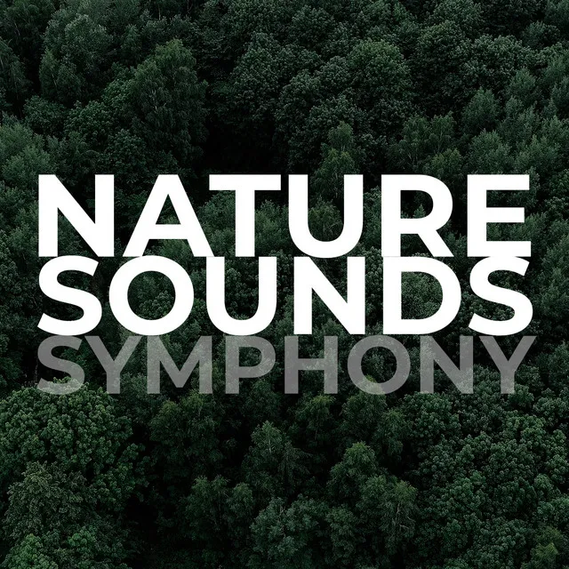 Nature Sounds Symphony