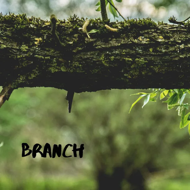 Branch