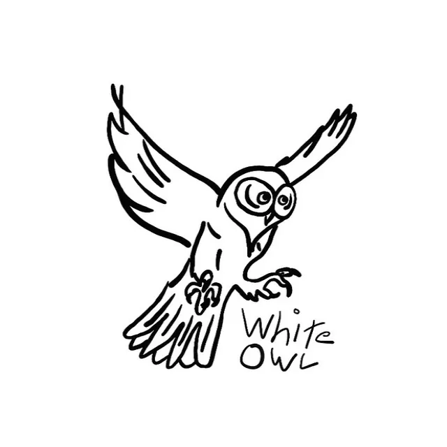 White Owl