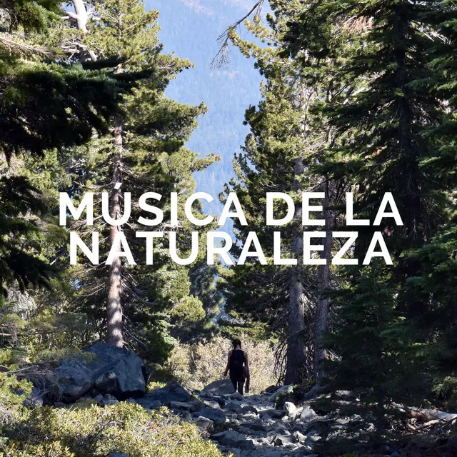 Música de la Naturaleza