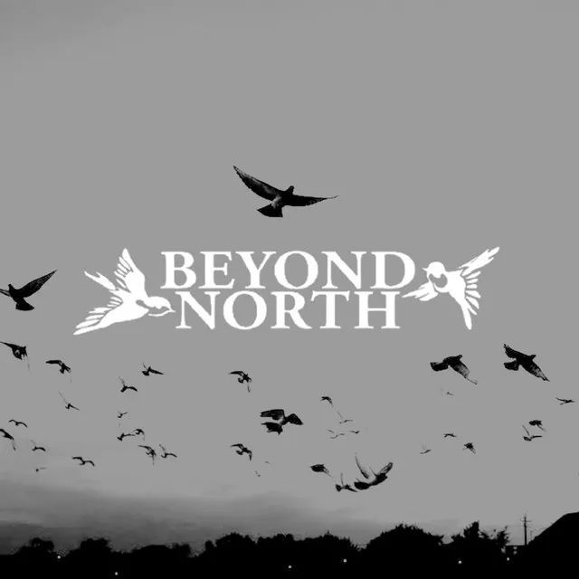 Beyond North