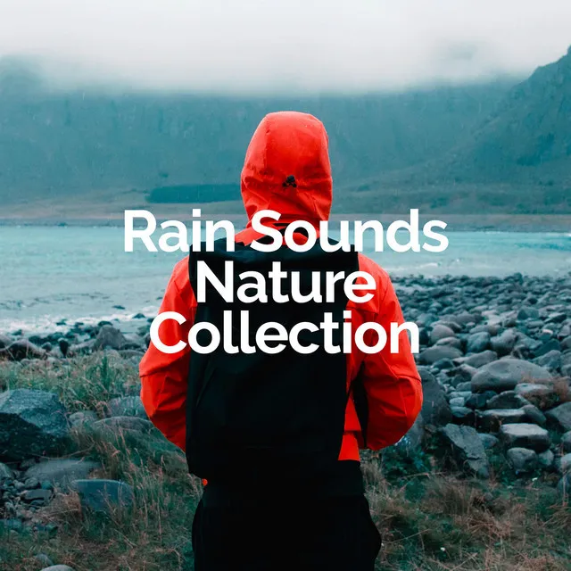 Rain Sounds Nature Collection