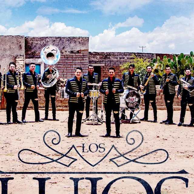 Banda Culiacancito