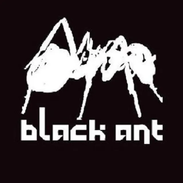 Black Ant