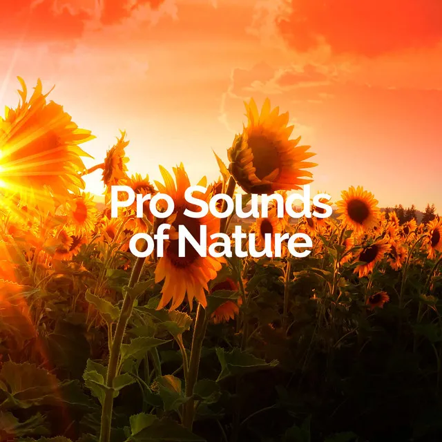 Pro Sounds of Nature