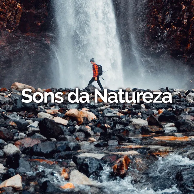 Sons da Natureza