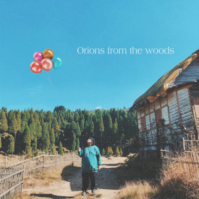 Orions from the woods