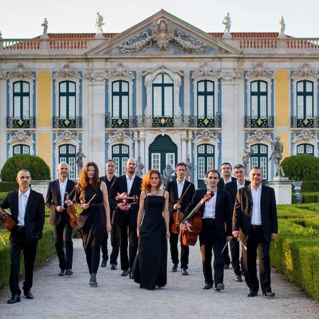 Il Suonar Parlante Orchestra