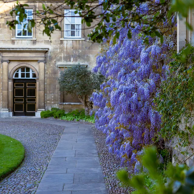 The Choir of Christ's College, Cambridge