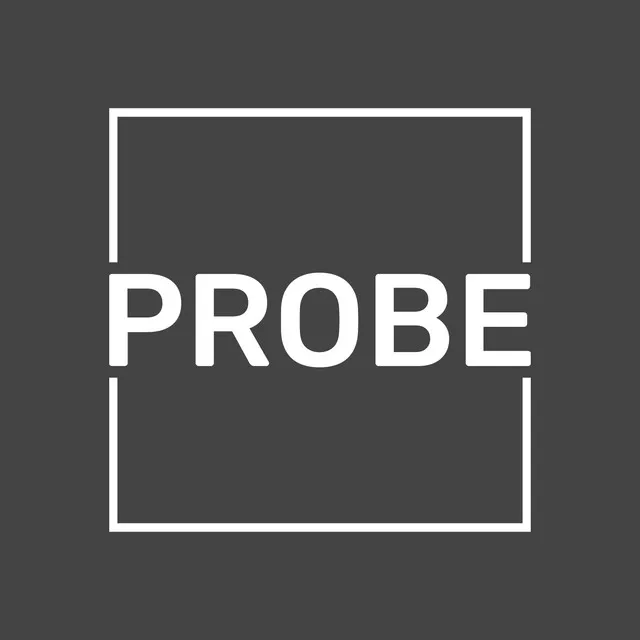 Probe