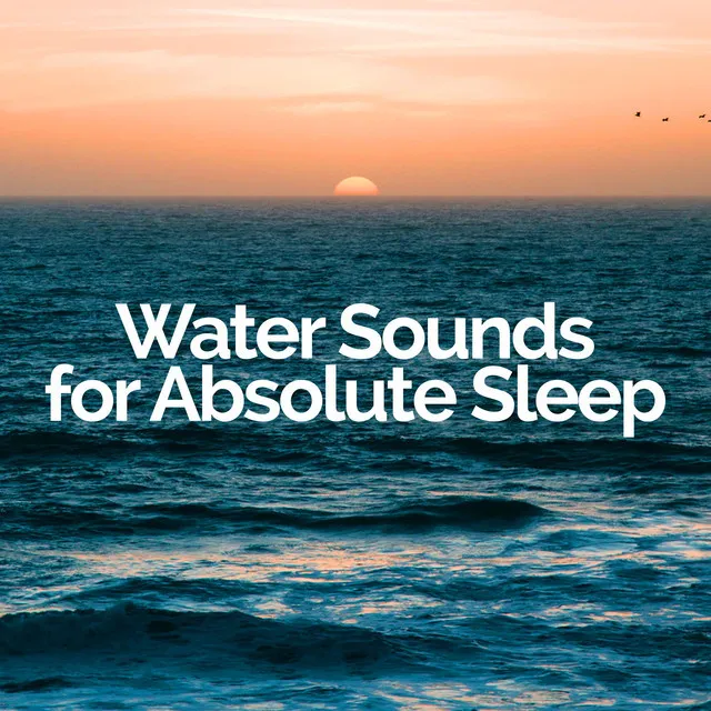 Water Sounds for Absolute Sleep