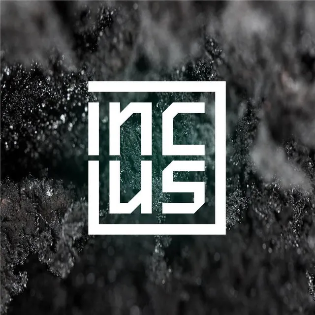 Incus