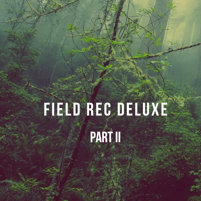 Field Rec Deluxe