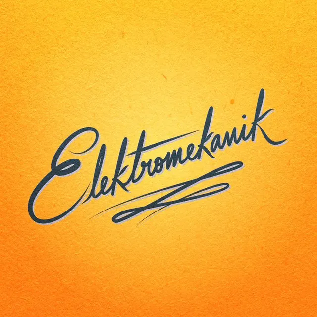 Elektromekanik