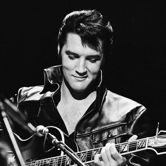 Elvis Presley Artist Image