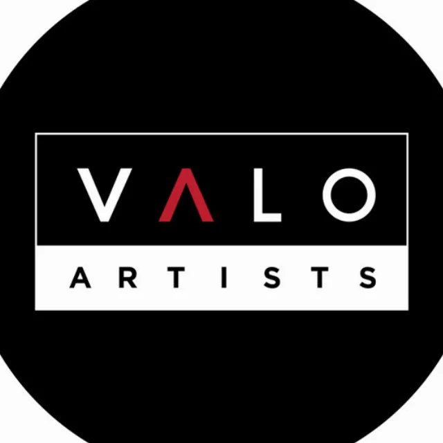 VALO Artists