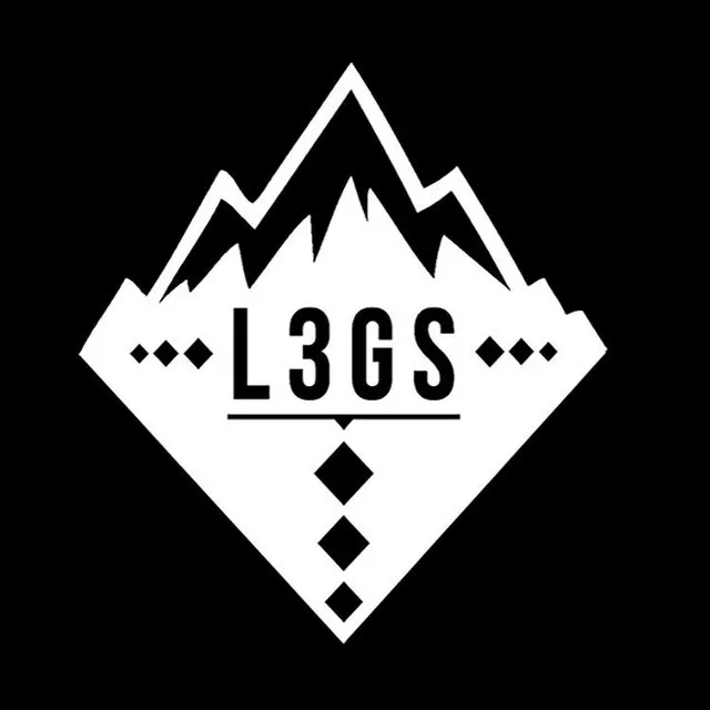 L3GS