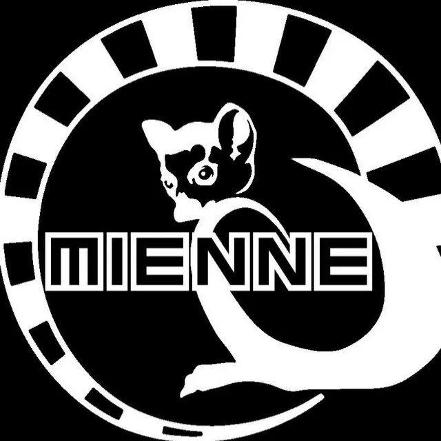 Mienne