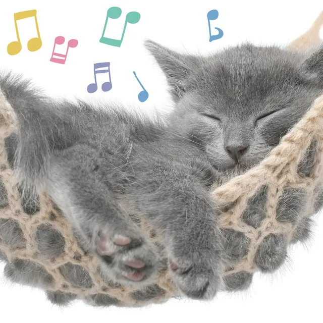 Cat Music