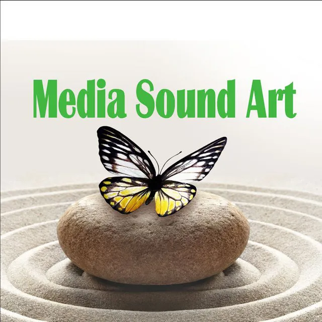 Media Sound Art