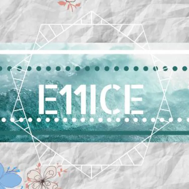 E11ICE