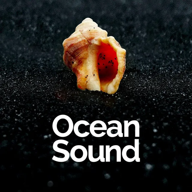 Ocean Sound