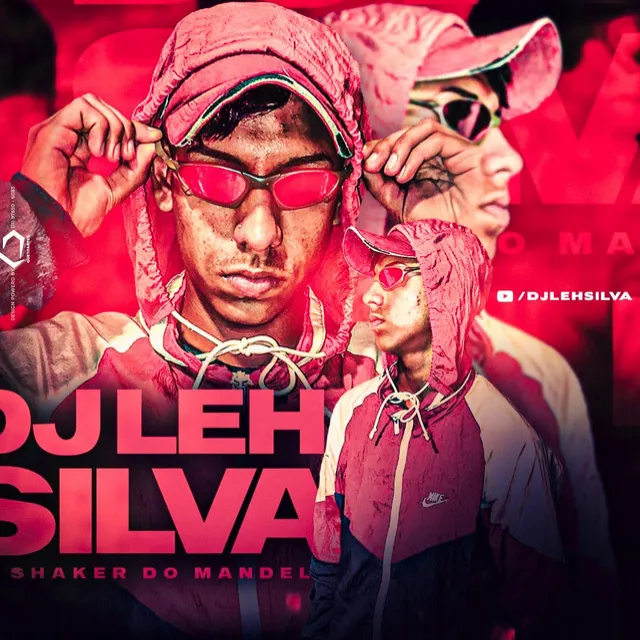 DJ LEH SILVA