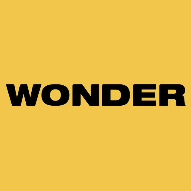 Wonder Stereo