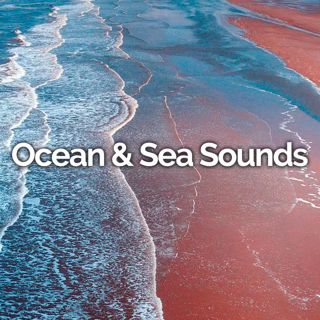 Ocean & Sea Sounds