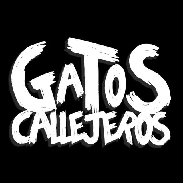 Gatos Callejeros