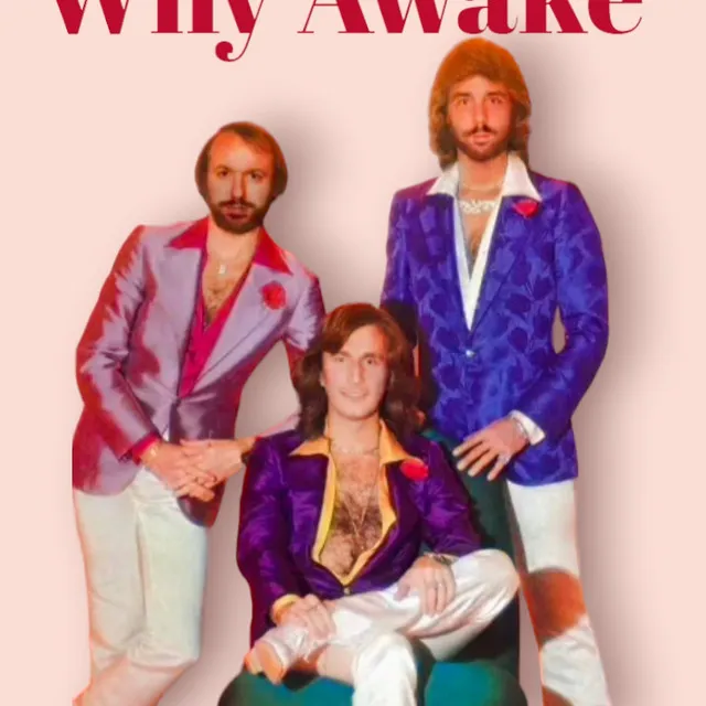 Why Awake